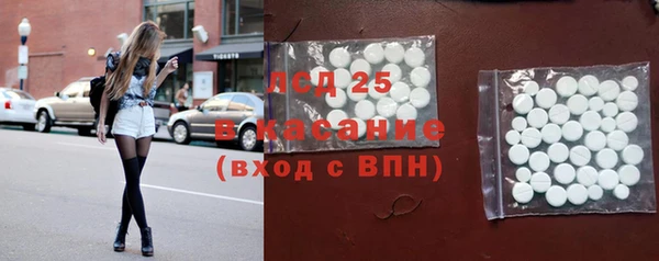индика Нея