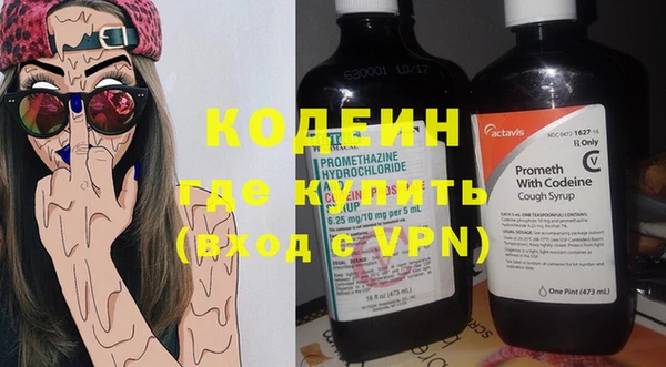 индика Нея