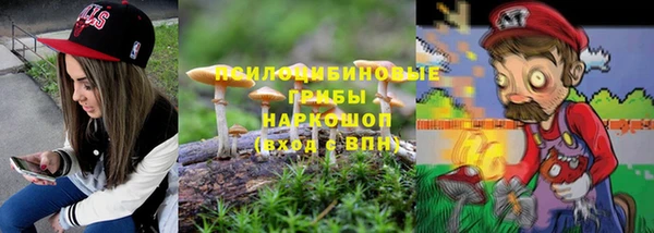 индика Нея