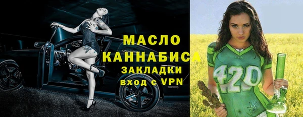 индика Нея