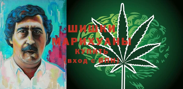 индика Нея