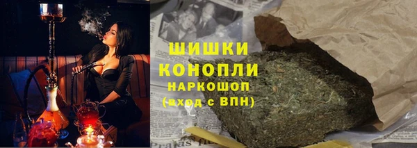 индика Нея