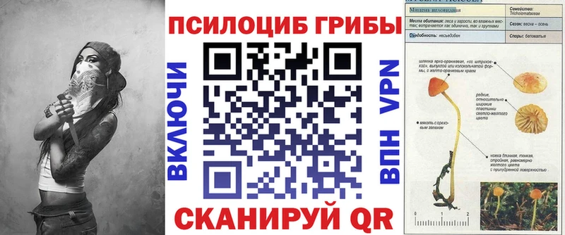 кракен ONION Власиха Галлюциногенные грибы Cubensis